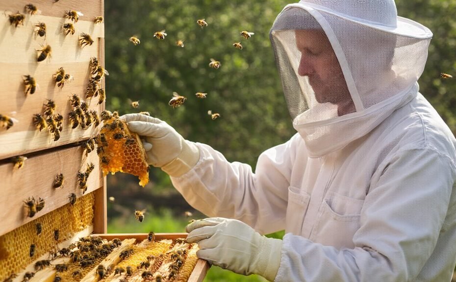 apiculture and beekeeping connection